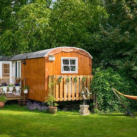 B&B Hetvrijdagsgevoel Sneek Dış mekan fotoğraf