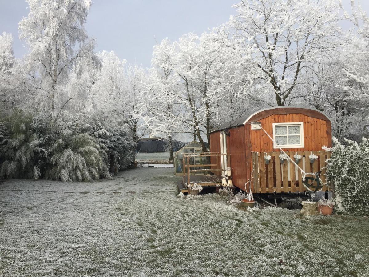 B&B Hetvrijdagsgevoel Sneek Dış mekan fotoğraf